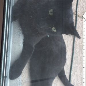 Meet your Posher, Xavier